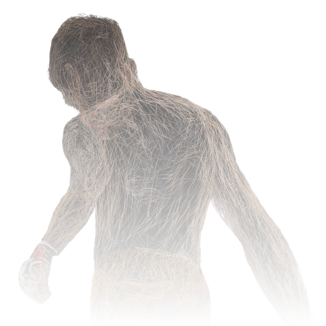 mma fighter in wireframe mode