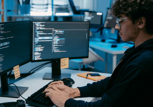 Network Security Consultant