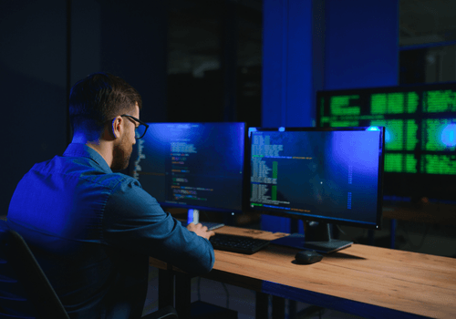 Cybersecurity Consultant