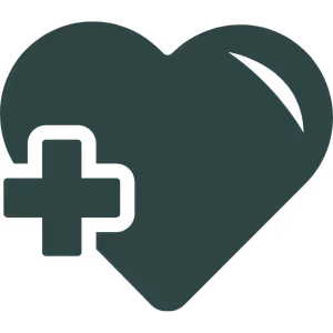 Heart shape with a medical cross symbol on the left side.