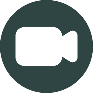 Icon of a video camera inside a circular border representing video recording or video call.