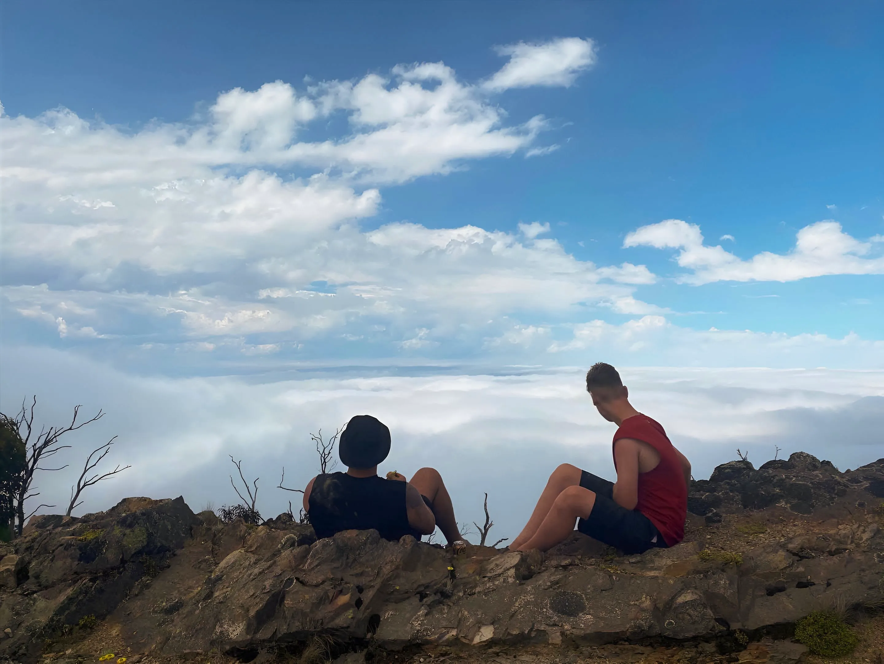 Trauma-Informed NDIS Supports: Bridging Two Worlds