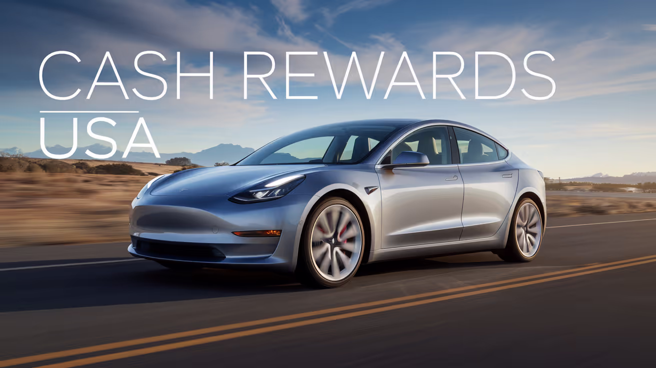 A Tesla with a scenic backdrop