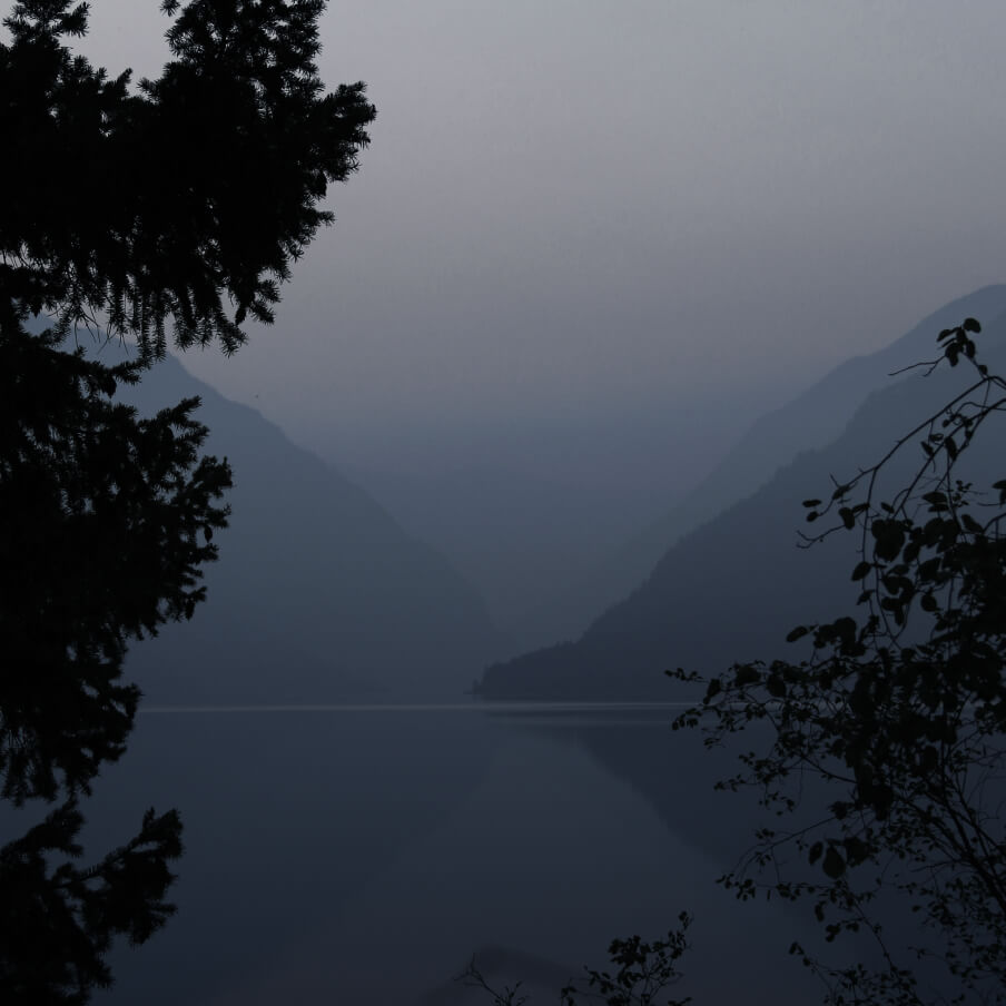 Profile of a man with glasses and tousled hair wearing a brown sweater against a misty outdoor background.