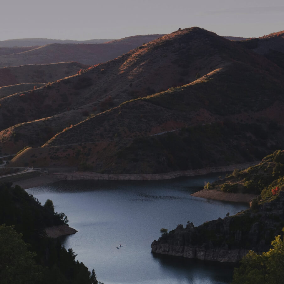 Young man with curly hair wearing a gray hoodie and backpack, standing in front of a misty forest background.