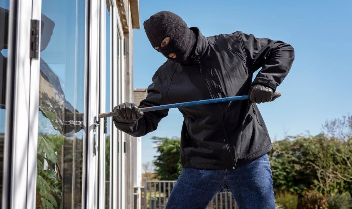 News: Burglars Don't Enter Through Doors First — Why LA Homeowners Are Switching To Security Window Screens