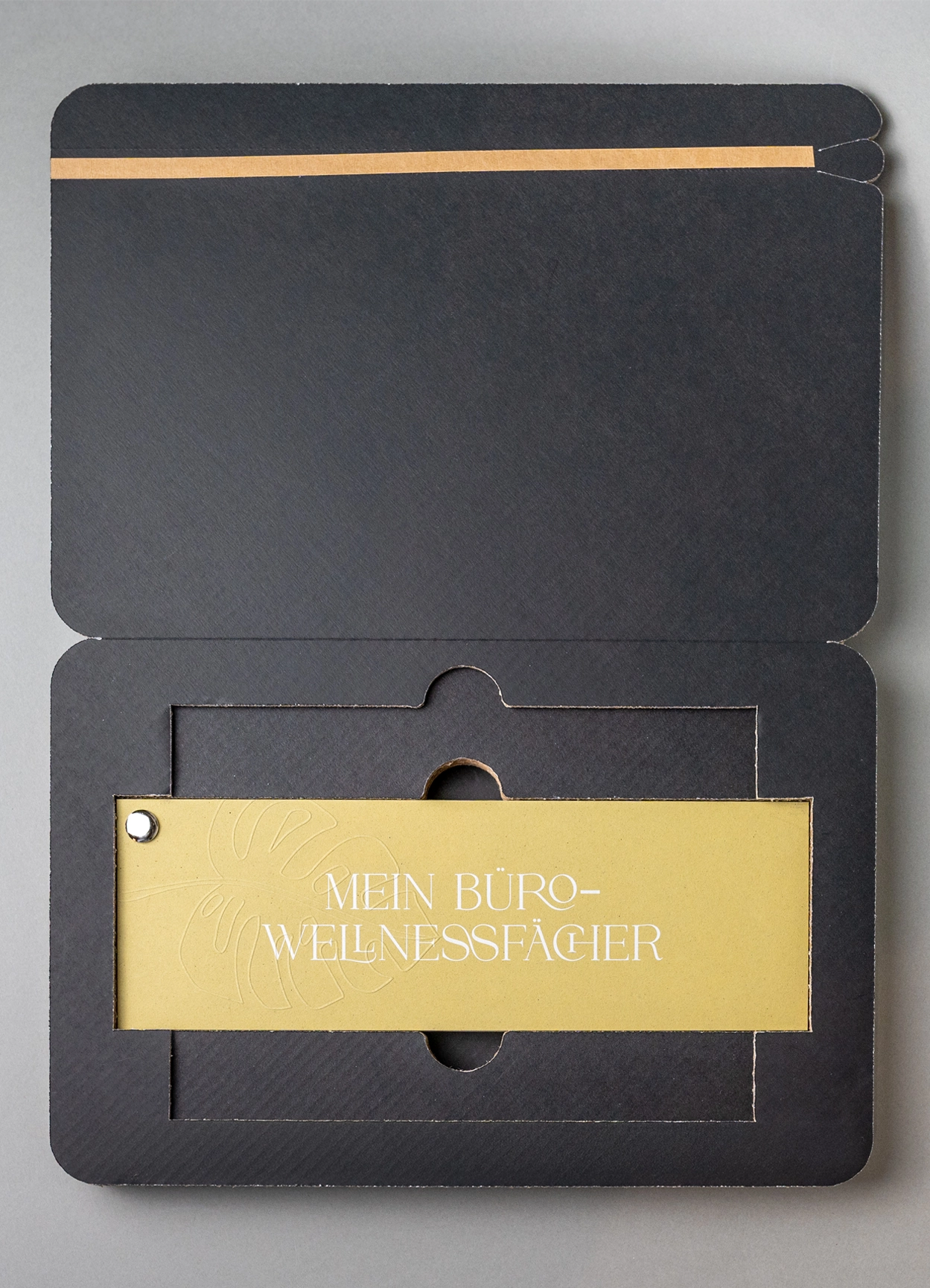 3 - Fächer in Verpackung