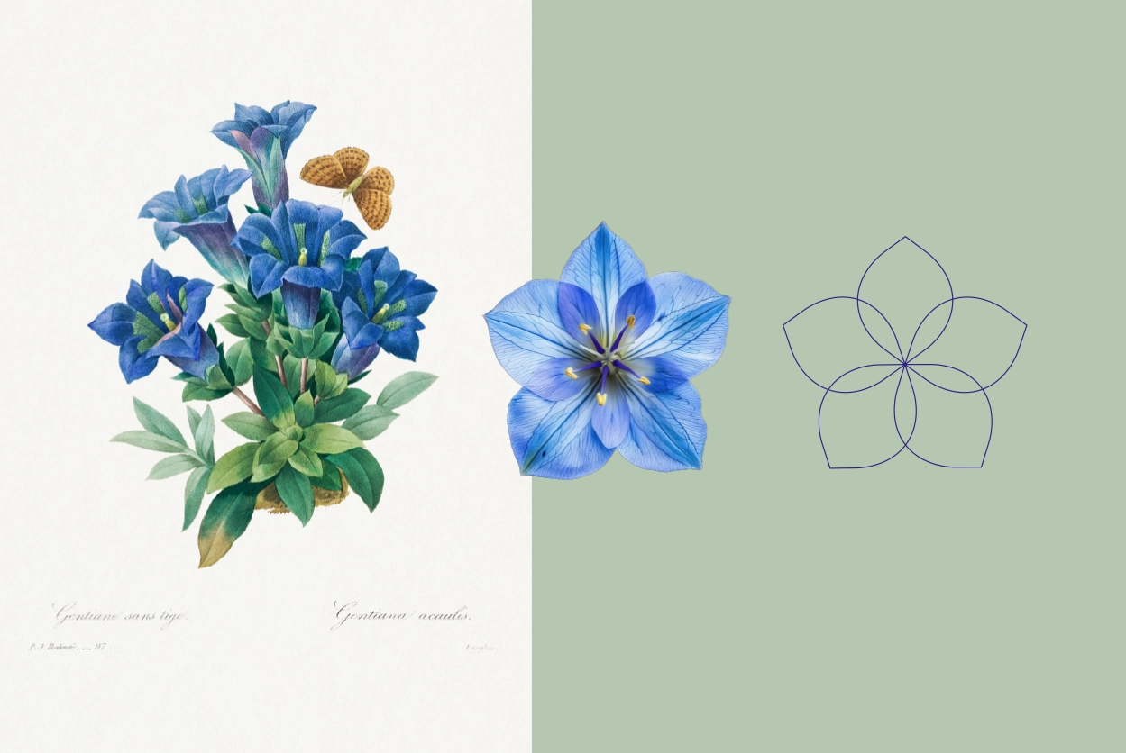 2 - Grafikelement Blume