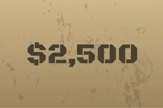 A brown background with the words $ 250 written in black.