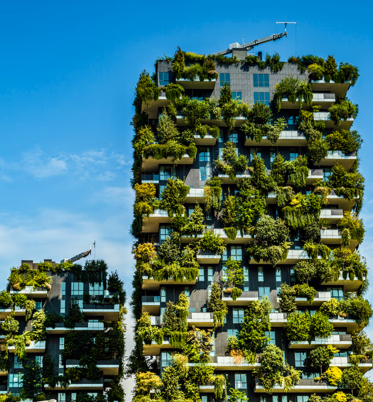 Façade d'un immeuble végétalisée