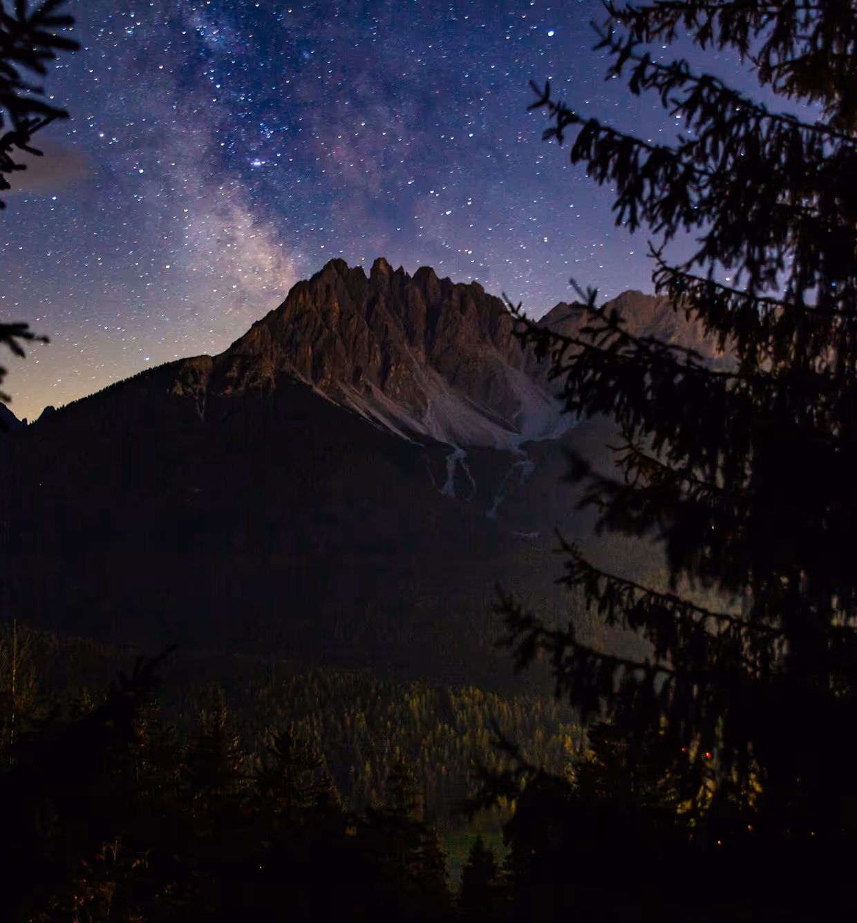 Vue nocturne des montagnes avec une voie lactée étoilée et des silhouettes d'arbres au premier plan.