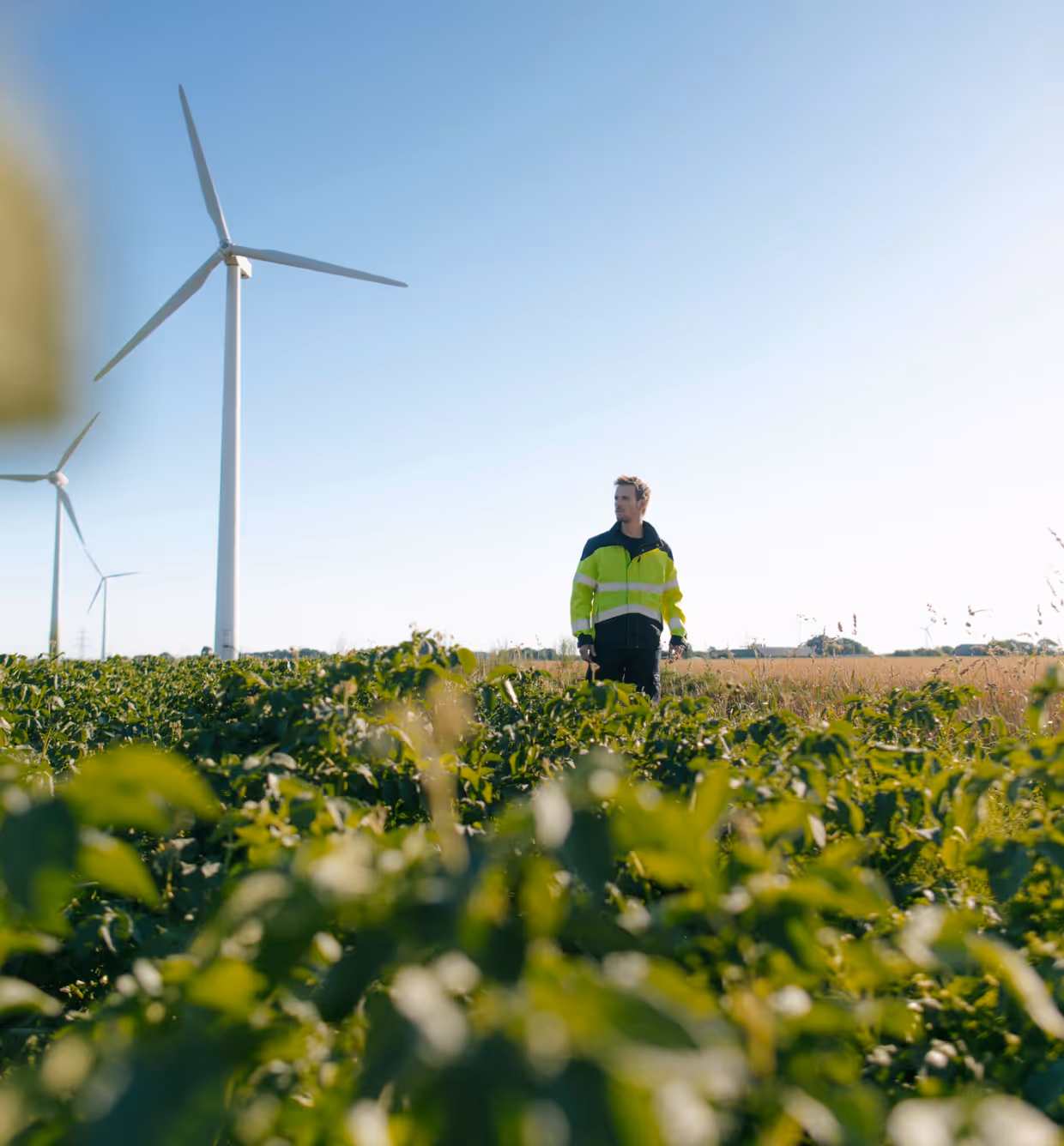 Un homme en veste de sécurité réfléchissante marche dans un champ avec des éoliennes au loin sous un ciel bleu clair.