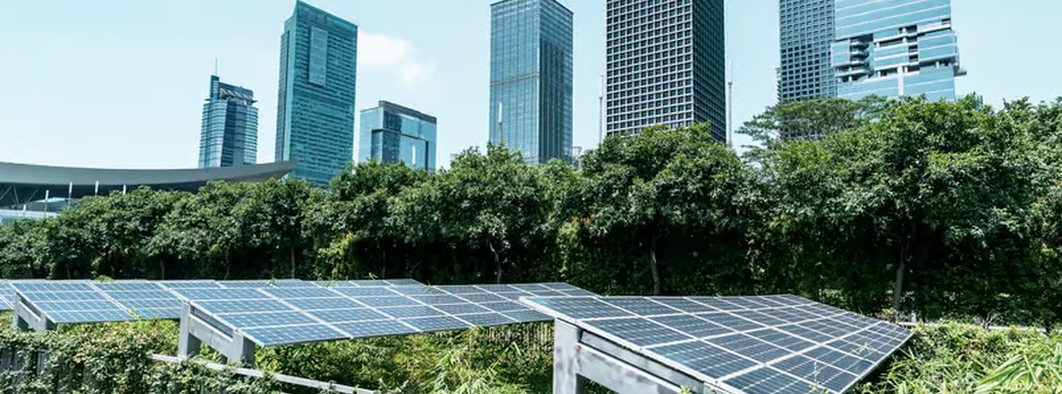 Panneaux solaires sur un toit végétalisé devant des tours