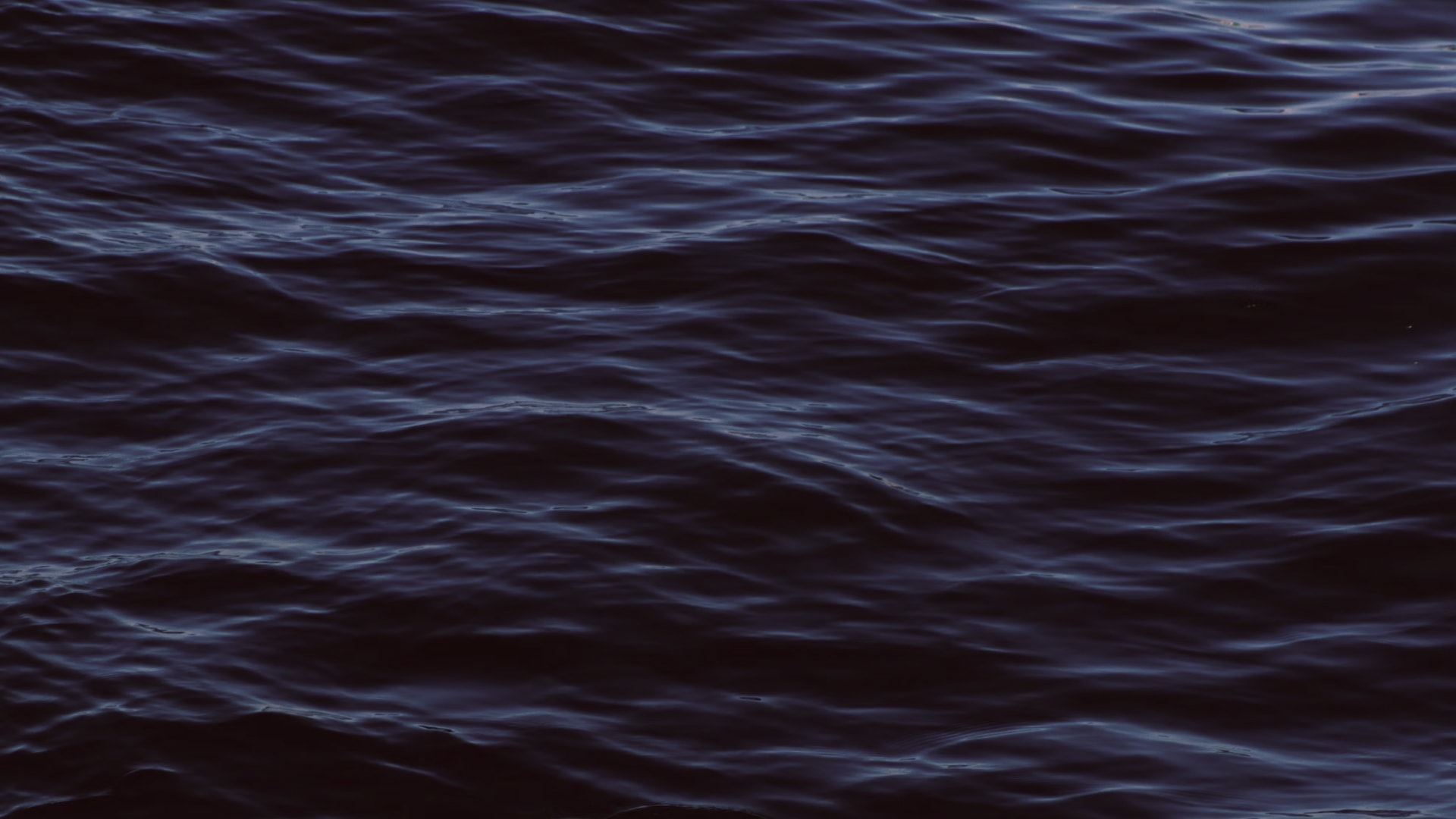 Pokar homepage background, closeup sea photo
