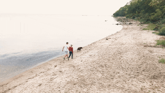 Zwei Personen führen einen Hund an einem Sandstrand in der Nähe von ruhigem Wasser entlang; im Hintergrund sind Bäume zu sehen.