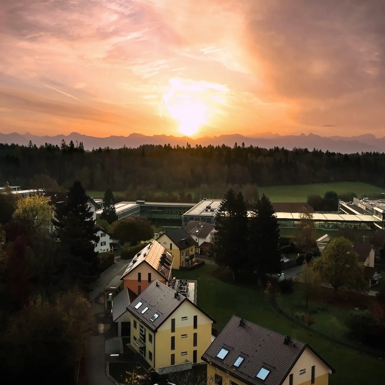 An image of a couple of buildings among trees with a sunset in the background.