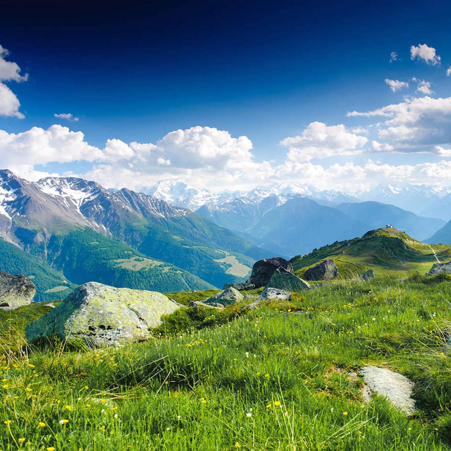 A landscape of green grass overlooking Swiss mountains against blue sky during the summer DTS at YWAM Lausanne.