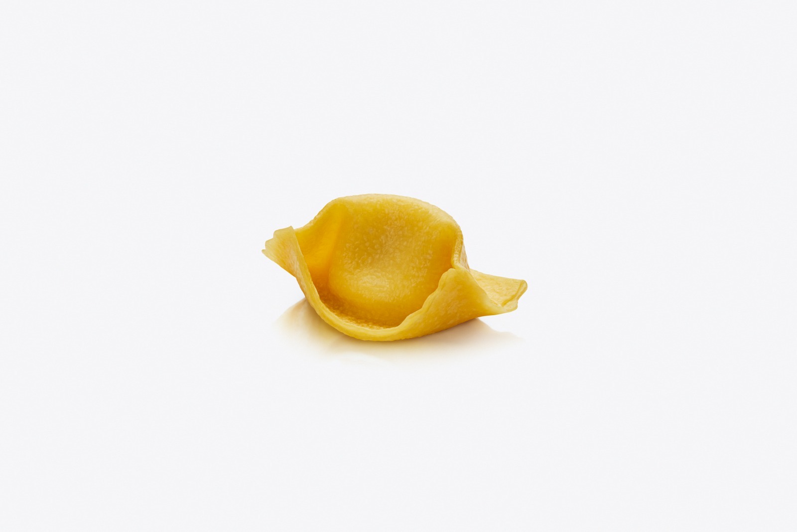 Agnolotti del Plin con Ossobuco — un involucro di pasta fresca all'uovo nel classico formato agnolotti del plin