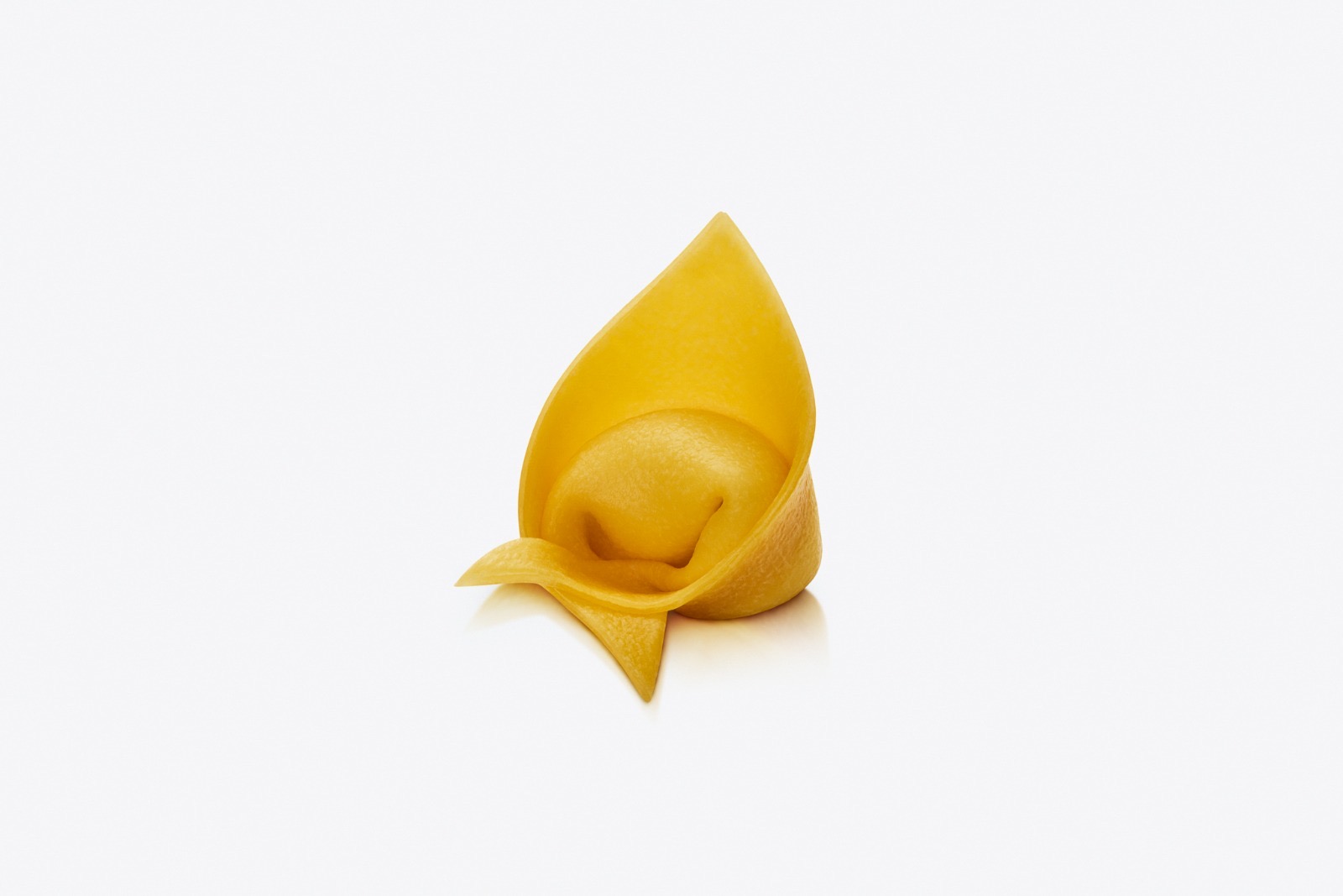 Cappelletti con Porcini e Crema di Grana Padano — pasta all'uovo dalla forma a cappello appuntito