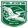 Pelicans