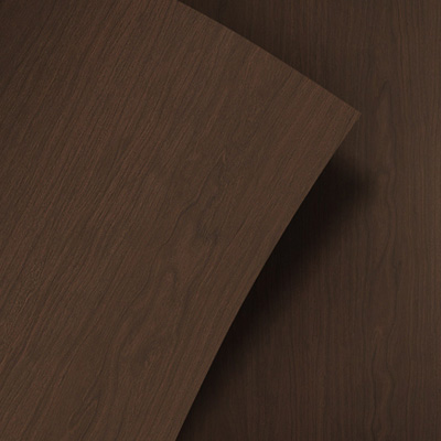 Model Type