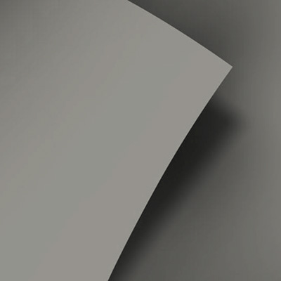 Model Type