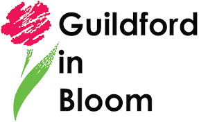Another win for ARTGU & BFG at Guildford in Bloom