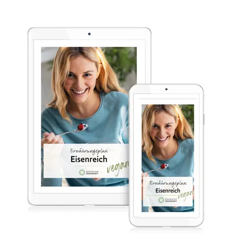 eisenreicher ernärungsplan