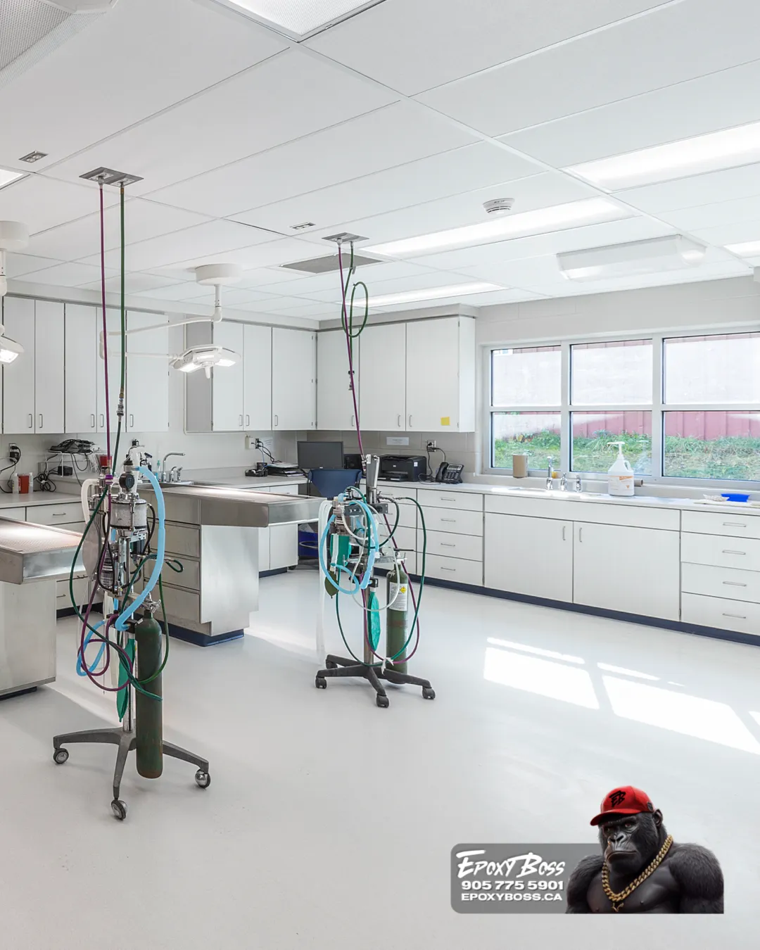 Polyaspartic system in temperature-controlled distribution center Ontario