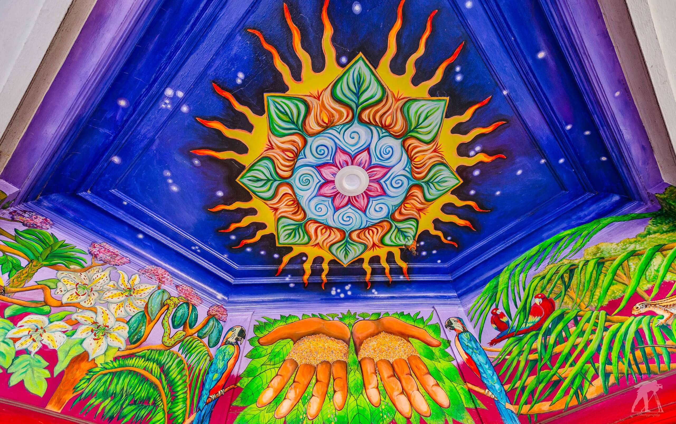 Ceiling mural showing a radiant mandala surrounded by plants, stars, and golden hands holding seeds, symbolizing growth and energy.