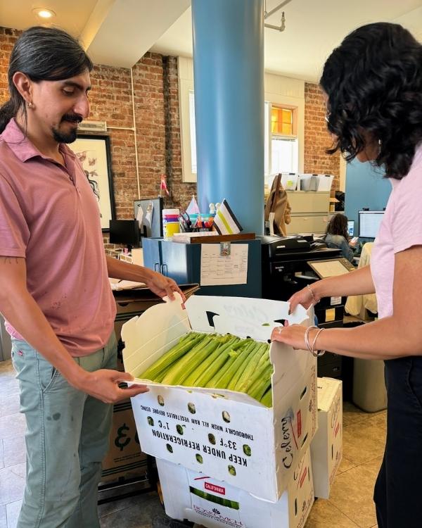 Staff and volunteer unpacking a large box of fresh celery in the office to prepare food distributions.