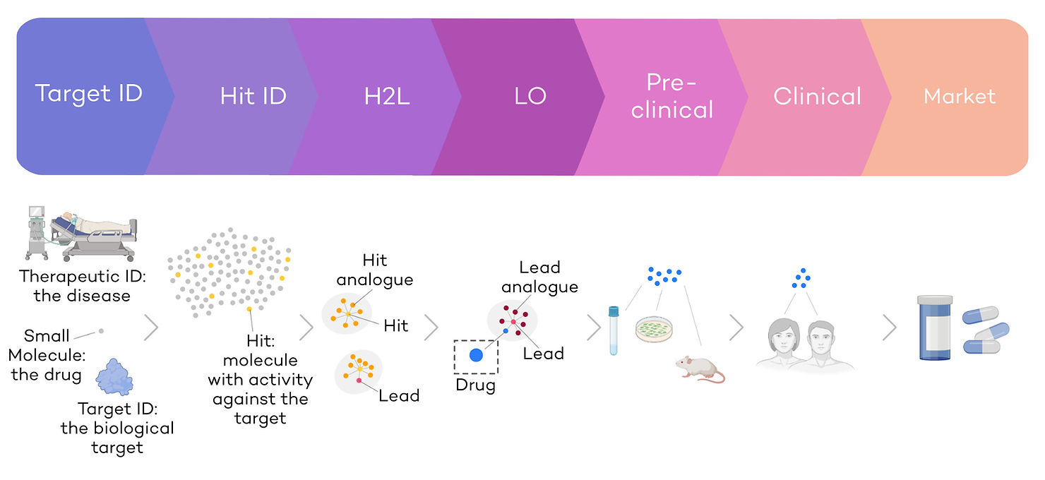 Summary of the drug discovery pipeline