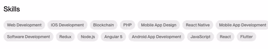 example of a skillset of a top-rated software development agency