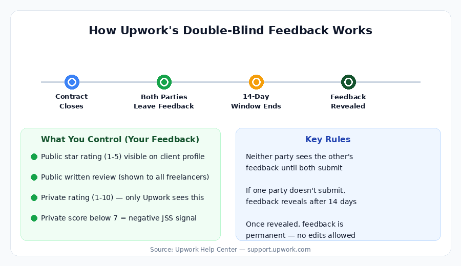 Infographic showing Upwork's double-blind feedback timeline: contract closes, both parties leave feedback, 14-day window ends, feedback revealed