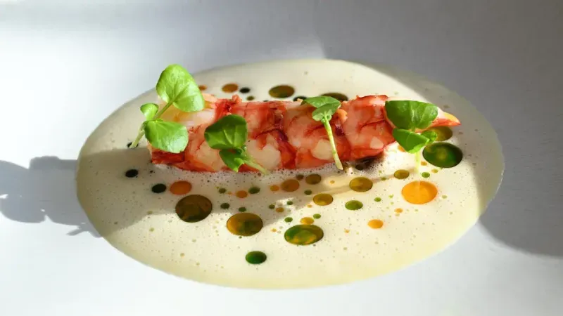 Fein angerichtetes Gericht mit einem Stück Krustentier auf cremiger, heller Sauce, garniert mit grünen Kräutern und farbigen Öltropfen auf einem weißen Teller.