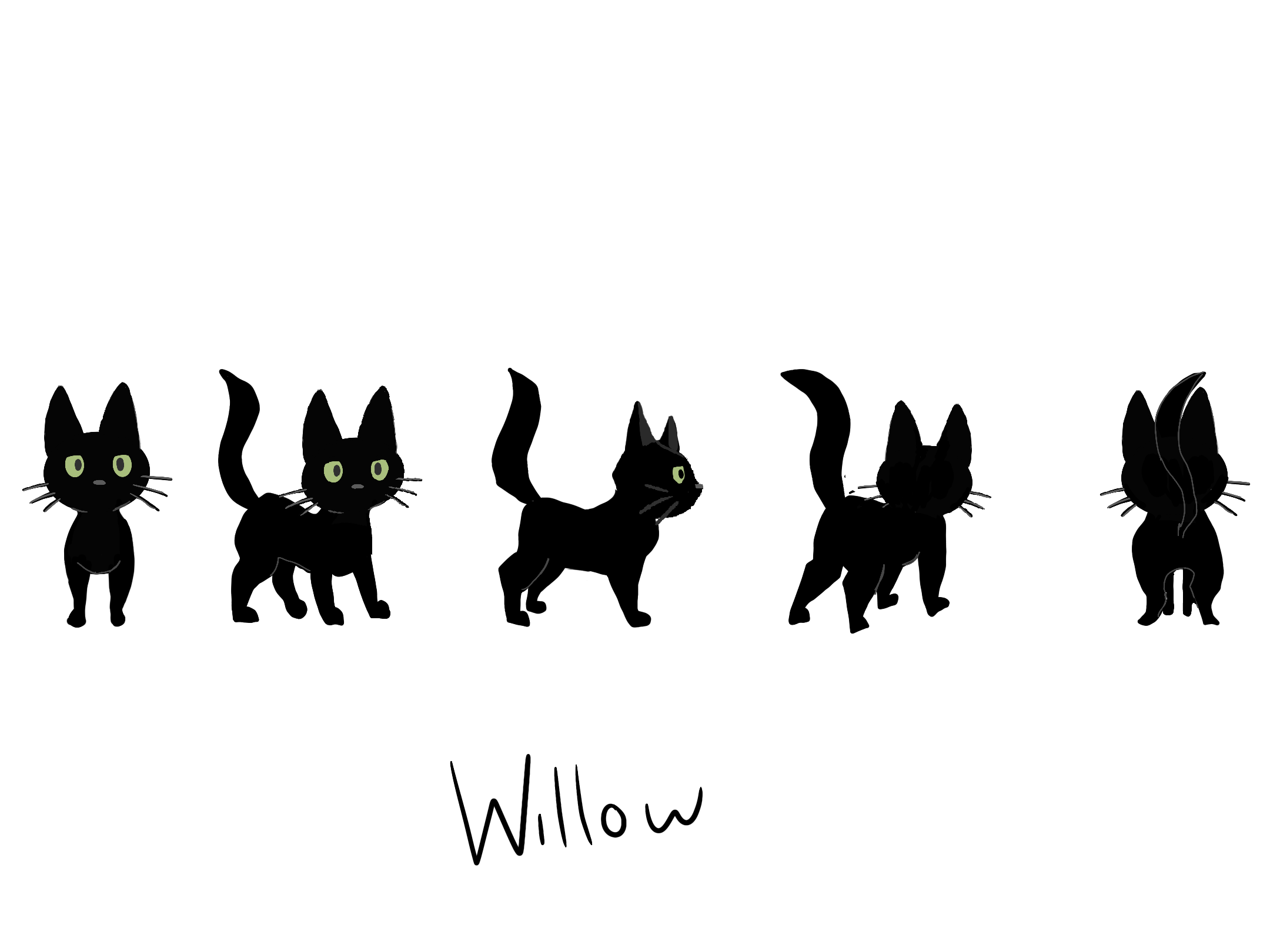 Character turnaround of Willow the Cat