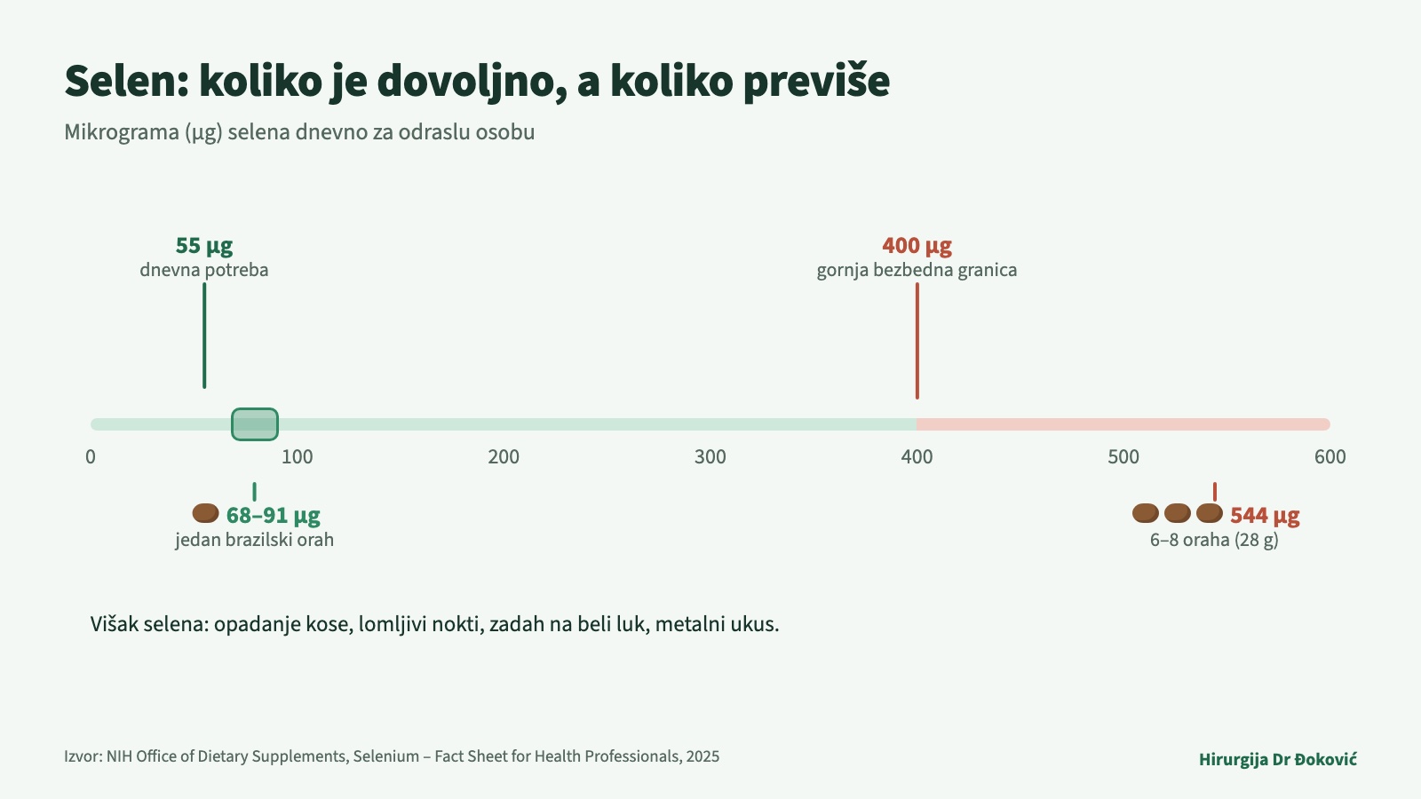 Koliko selena je dovoljno: odrasloj osobi dnevno treba 55 mikrograma, jedan brazilski orah sadrži 68 do 91 mikrogram, gornja bezbedna granica je 400, a 6 do 8 oraha donosi oko 544 mikrograma, što je iznad granice.