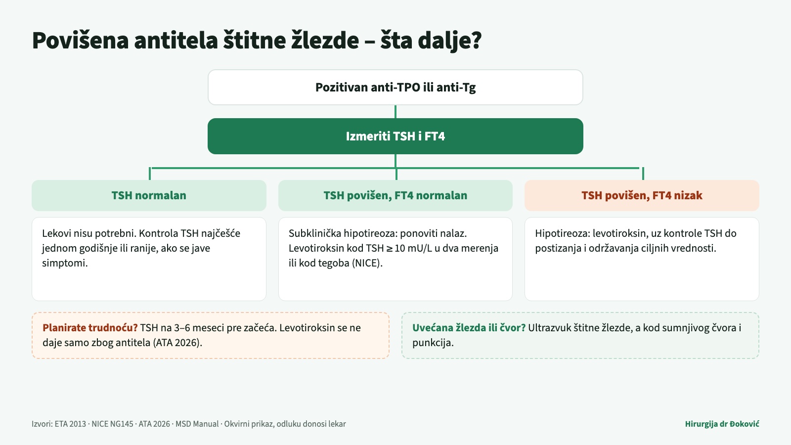Šta raditi kada su antitela štitne žlezde povišena: sledeći korak je merenje TSH i FT4; uz normalan TSH bolest se prati bez lekova, kod povišenog TSH odluka o levotiroksinu zavisi od visine TSH i tegoba, a žene koje planiraju trudnoću proveravaju TSH na 3–6 meseci.