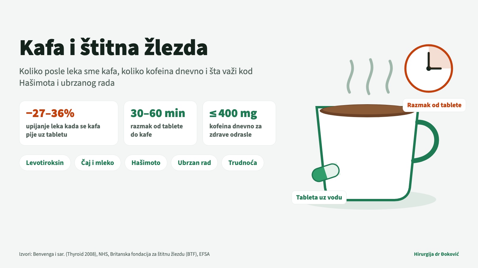 Kafa i štitna žlezda: šolja kafe, tableta levotiroksina i sat kao podsetnik na razmak; kafa uz tabletu smanjuje upijanje leka za 27 do 36%, preporučeni razmak je 30 do 60 minuta, a zdravim odraslima EFSA kao bezbedno navodi do 400 mg kofeina dnevno