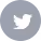 White Twitter bird logo on a gray square background.
