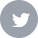 White Twitter bird logo on a gray square background.