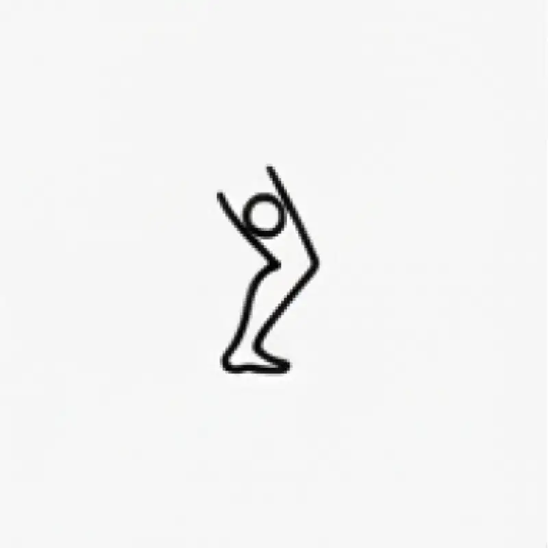 Leg