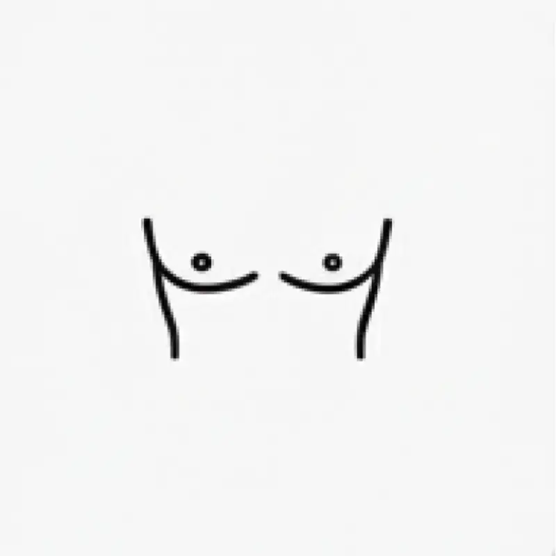 Chest