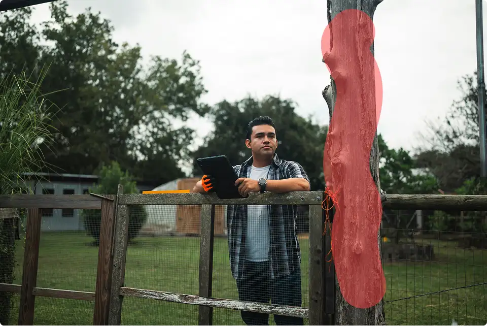 Object removal example