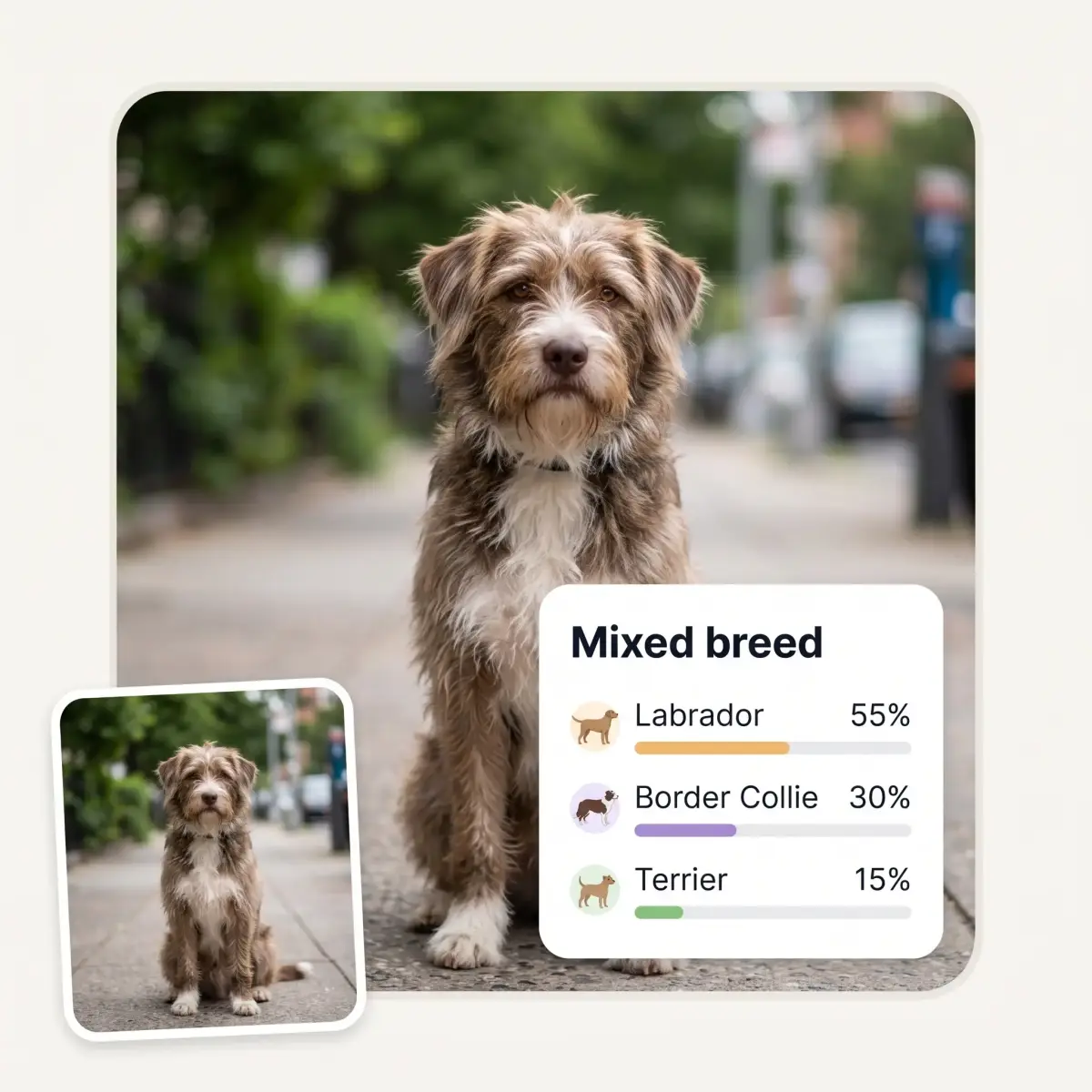 AI dog breed identifier showing the breed combination breakdown for a mixed-breed mutt