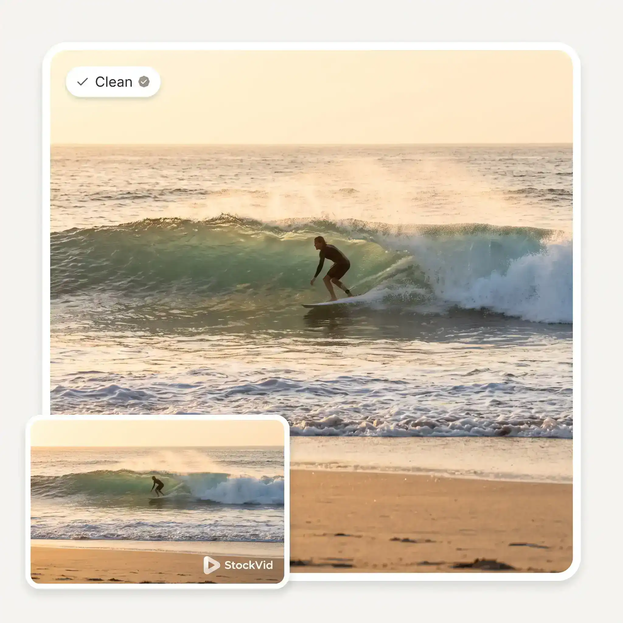Video Watermark Remover — erase watermarks from any video with AI