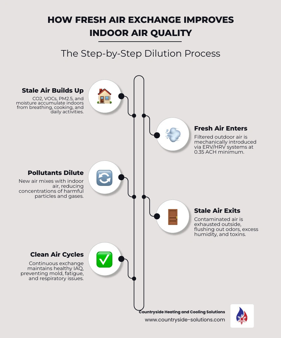 Infographic showing how fresh air exchange improves indoor air quality step by step - how fresh air exchange improves indoor Infographic showing how fresh air exchange improves indoor air quality step by step - how fresh air exchange improves indoor