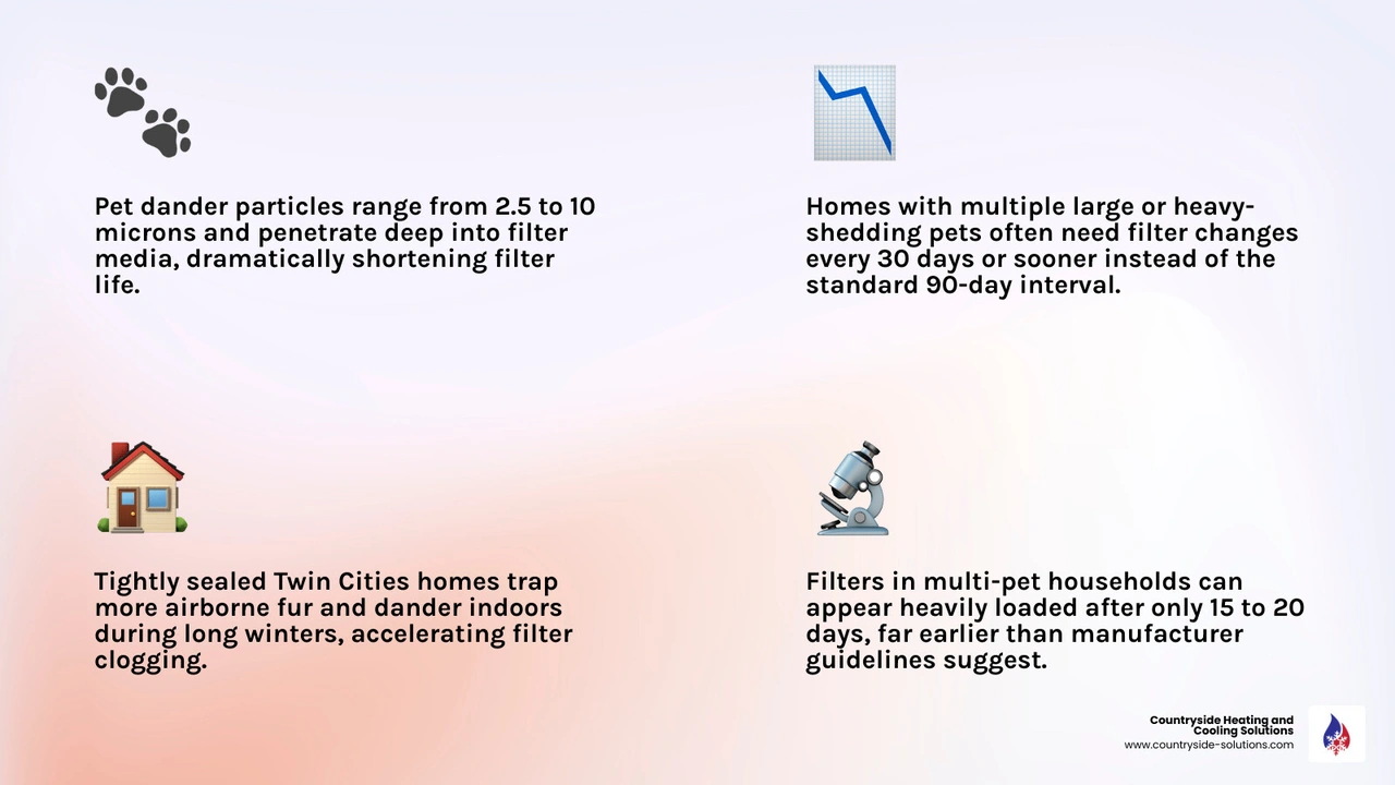 Infographic showing how pet hair and dander circulate through home HVAC systems and shorten filter life by household pet Infographic showing how pet hair and dander circulate through home HVAC systems and shorten filter life by household pet