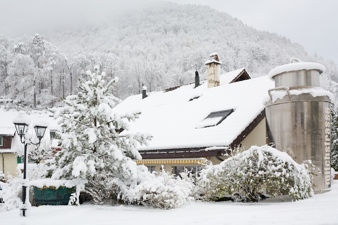 In-Depth Guide to How Modern Heat Pumps Handle Extreme Cold