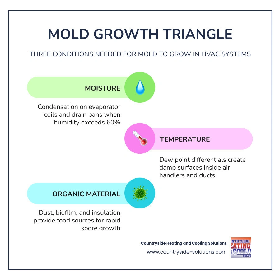 Infographic showing the Mold Growth Triangle in HVAC systems: heat, moisture, and organic food source with Minnesota climate Infographic showing the Mold Growth Triangle in HVAC systems: heat, moisture, and organic food source with Minnesota climate
